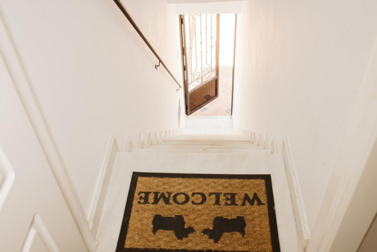 Apartamento Circo Romano- Con Vistas Al Circo Petfriendly Mérida Dış mekan fotoğraf